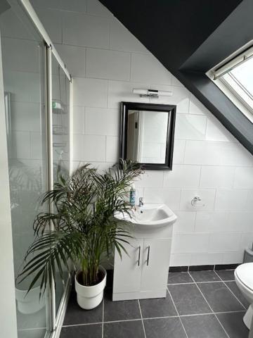 The Lodge, Monkstown Monkstown  Εξωτερικό φωτογραφία